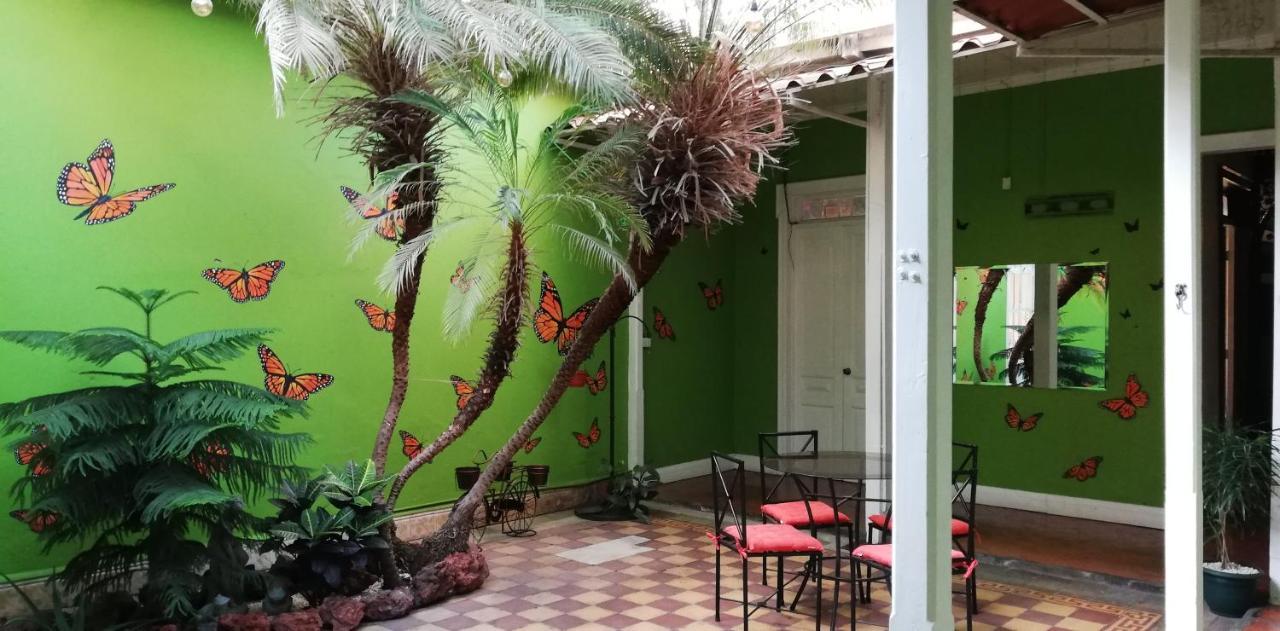 Casa Mayela Guest House San Jose (San Jose) Exterior foto